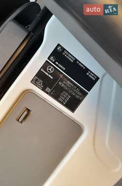 Микроавтобус Mercedes-Benz Sprinter 2009 в 