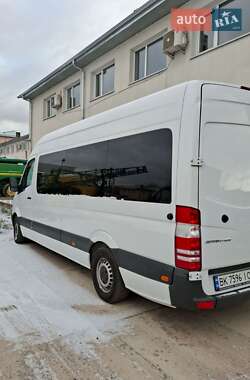 Микроавтобус Mercedes-Benz Sprinter 2017 в Березному