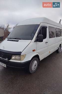 Мікроавтобус Mercedes-Benz Sprinter 1997 в Кам'янському