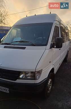 Мікроавтобус Mercedes-Benz Sprinter 1996 в Кривому Розі