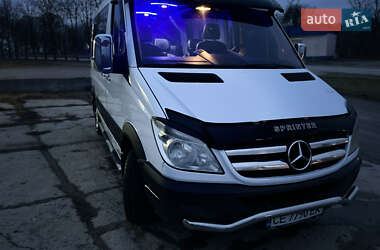 Микроавтобус Mercedes-Benz Sprinter 2009 в Новой Ушице