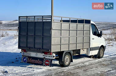 Для перевозки животных Mercedes-Benz Sprinter 2006 в Хмельницком