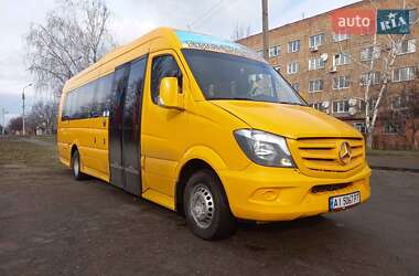 Микроавтобус Mercedes-Benz Sprinter 2014 в Черкассах