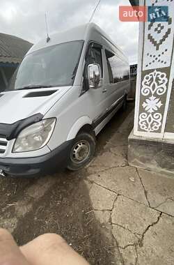 Другие автобусы Mercedes-Benz Sprinter 2010 в 