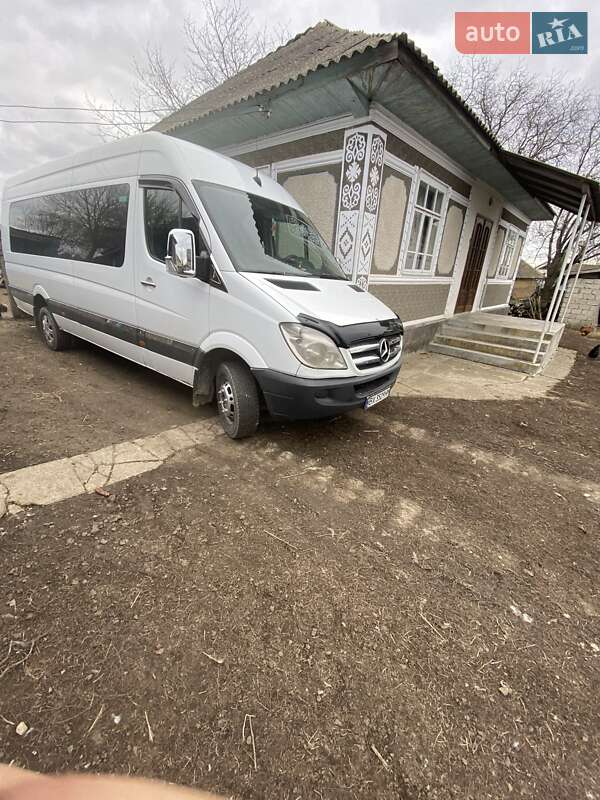 Другие автобусы Mercedes-Benz Sprinter 2010 в 
