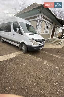 Другие автобусы Mercedes-Benz Sprinter 2010 в 