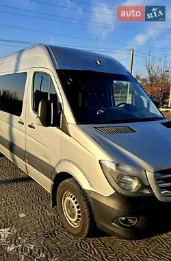 Микроавтобус Mercedes-Benz Sprinter 2010 в 