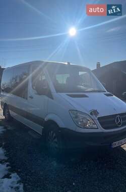 Микроавтобус Mercedes-Benz Sprinter 2007 в Сарнах