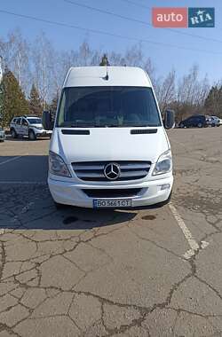 Інші автобуси Mercedes-Benz Sprinter 2011 в Кривому Розі