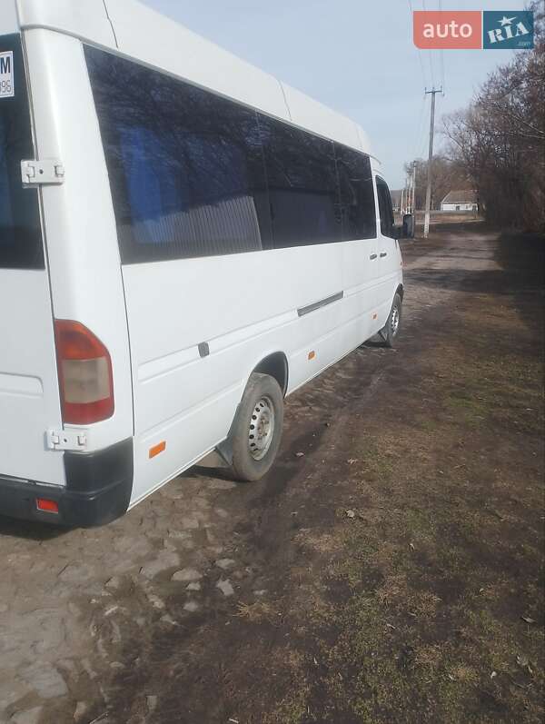 Микроавтобус Mercedes-Benz Sprinter 2000 в Шполе