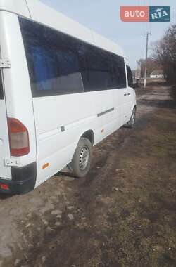 Микроавтобус Mercedes-Benz Sprinter 2000 в 