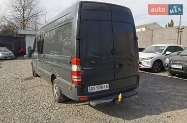 Грузопассажирский фургон Mercedes-Benz Sprinter 2010 в 