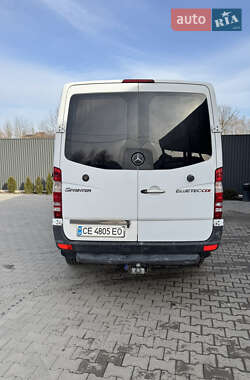 Микроавтобус Mercedes-Benz Sprinter 2010 в Черновцах