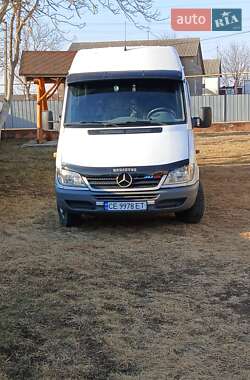 Микроавтобус Mercedes-Benz Sprinter 2004 в 