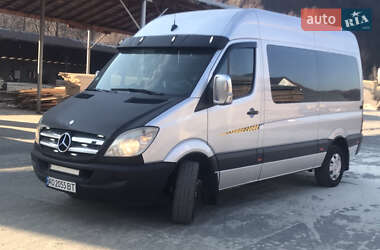 Микроавтобус Mercedes-Benz Sprinter 2008 в 