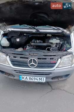 Микроавтобус Mercedes-Benz Sprinter 2004 в 