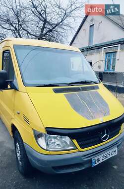 Вантажний фургон Mercedes-Benz Sprinter 2005 в Полонному