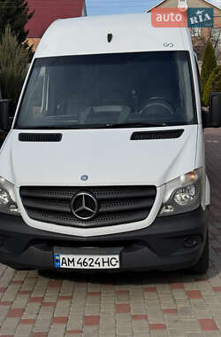 Микроавтобус Mercedes-Benz Sprinter 2015 в Житомире