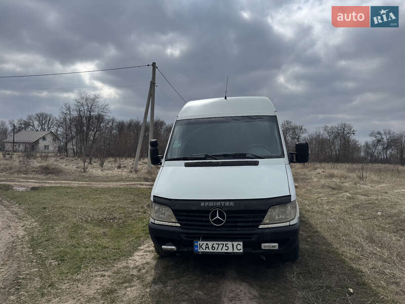Микроавтобус Mercedes-Benz Sprinter 2002 в 