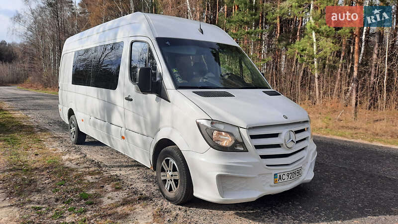 Микроавтобус Mercedes-Benz Sprinter 2008 в Шацке