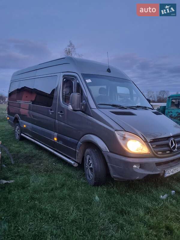 Микроавтобус Mercedes-Benz Sprinter 2010 в Хусте