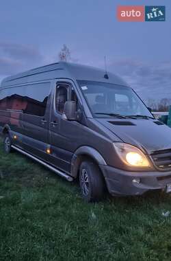 Микроавтобус Mercedes-Benz Sprinter 2010 в 
