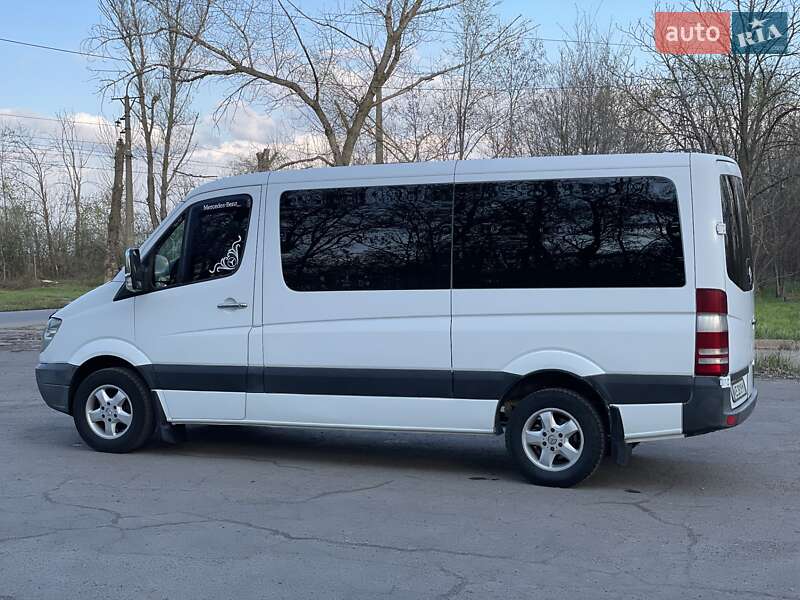 Микроавтобус Mercedes-Benz Sprinter 2008 в Кривом Роге