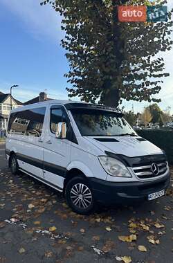 Микроавтобус Mercedes-Benz Sprinter 2009 в 