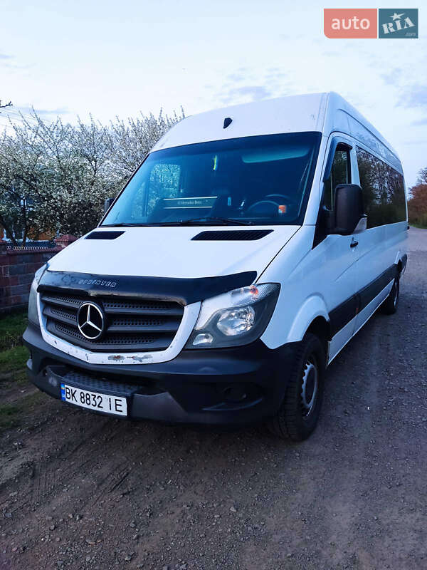Мікроавтобус Mercedes-Benz Sprinter 2013 в 