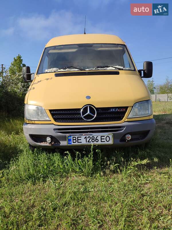 Мікроавтобус Mercedes-Benz Sprinter 2004 в Очакові