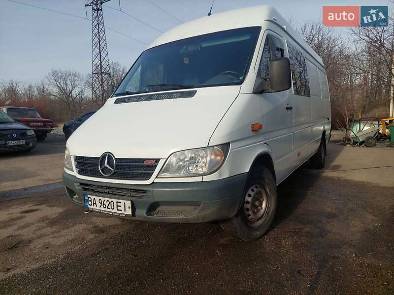 Вантажний фургон Mercedes-Benz Sprinter 2002 в Кропивницькому