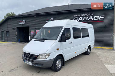 Вантажопасажирський фургон Mercedes-Benz Sprinter 2002 в Івано-Франківську