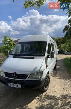 Микроавтобус Mercedes-Benz Sprinter 2000 в 
