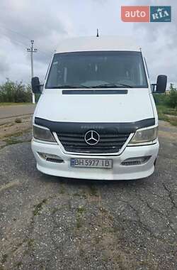 Микроавтобус Mercedes-Benz Sprinter 2004 в 