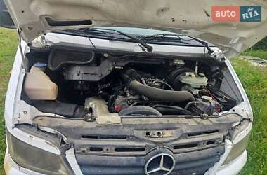 Микроавтобус Mercedes-Benz Sprinter 2004 в 