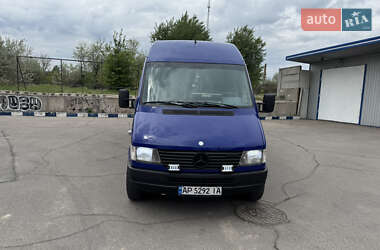 Микроавтобус Mercedes-Benz Sprinter 1995 в Запорожье