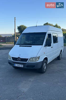 Грузовой фургон Mercedes-Benz Sprinter 2000 в Лубнах