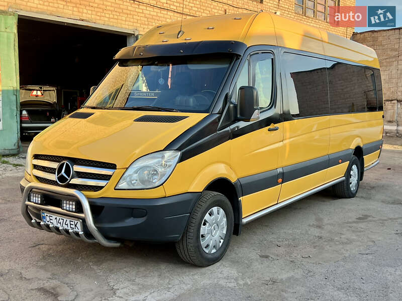 Микроавтобус Mercedes-Benz Sprinter 2011 в Кривом Роге
