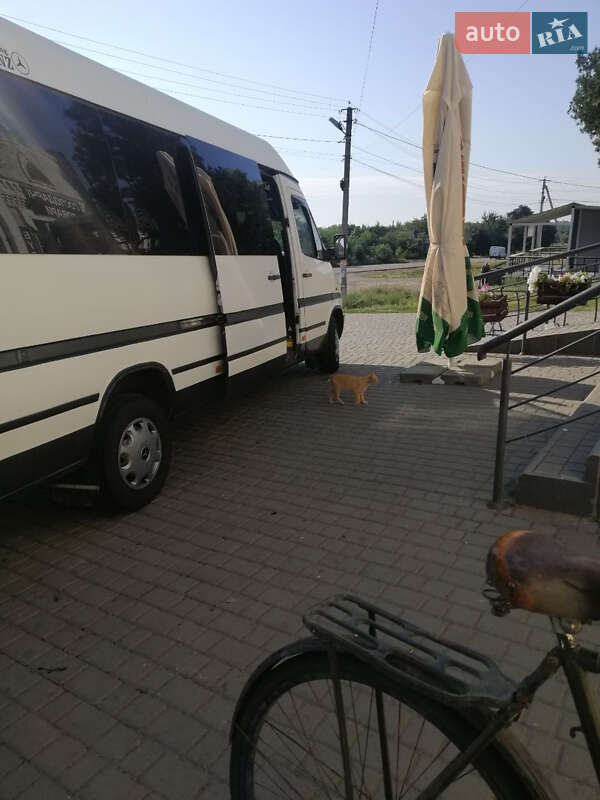 Приміський автобус Mercedes-Benz Sprinter 1999 в Світловодську