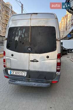 Грузопассажирский фургон Mercedes-Benz Sprinter 2009 в 