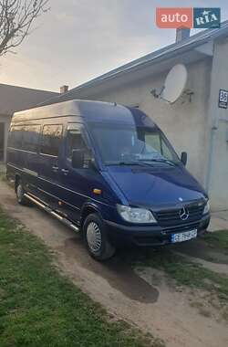 Микроавтобус Mercedes-Benz Sprinter 2004 в Снятине