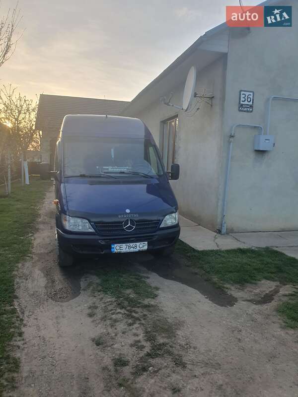 Микроавтобус Mercedes-Benz Sprinter 2004 в Снятине