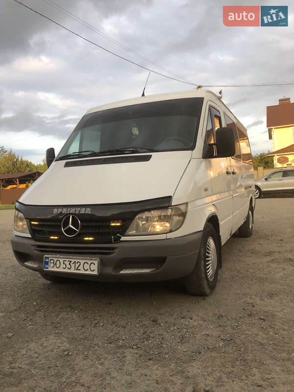 Микроавтобус Mercedes-Benz Sprinter 2006 в 