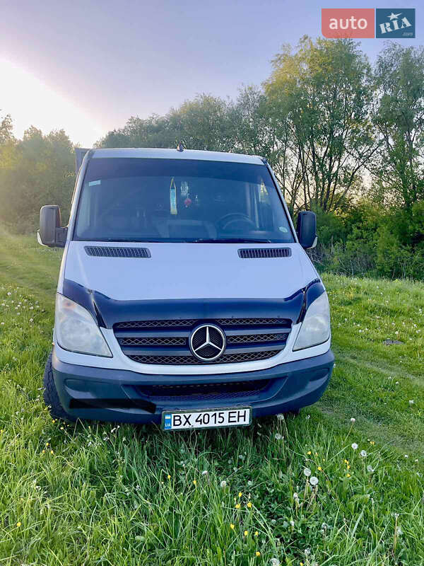 Для перевезення тварин Mercedes-Benz Sprinter 2006 в Хмельницькому