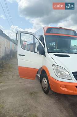 Мікроавтобус Mercedes-Benz Sprinter 2013 в 