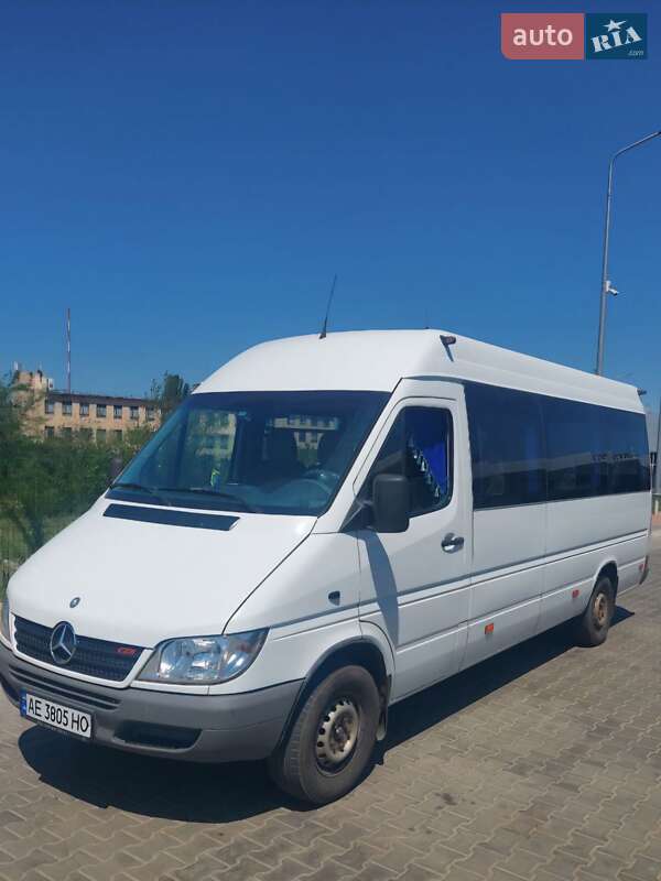 Другие автобусы Mercedes-Benz Sprinter 2006 в Кривом Роге