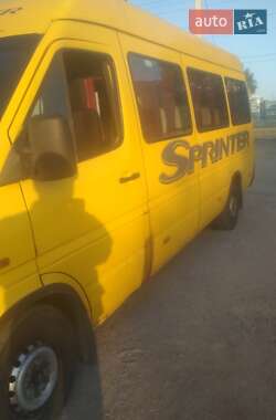 Микроавтобус Mercedes-Benz Sprinter 1999 в Днепре