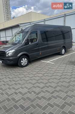 Микроавтобус Mercedes-Benz Sprinter 2010 в Яготине