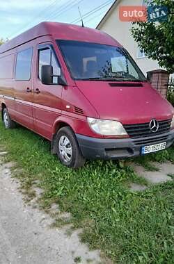 Мікроавтобус Mercedes-Benz Sprinter 2002 в Козові