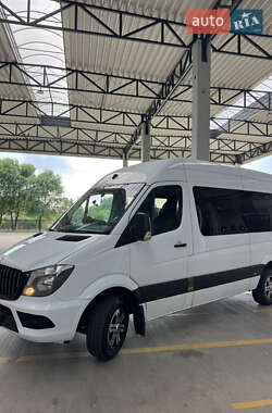 Микроавтобус Mercedes-Benz Sprinter 2014 в 